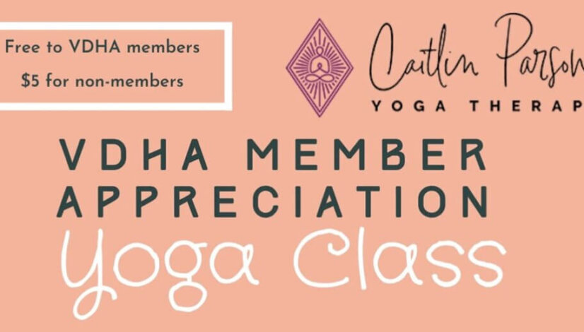 vdha-member-appreciation-yoga-class-20210429